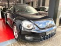 volkswagen-new-beetle-2l-tdi-2020-small-6