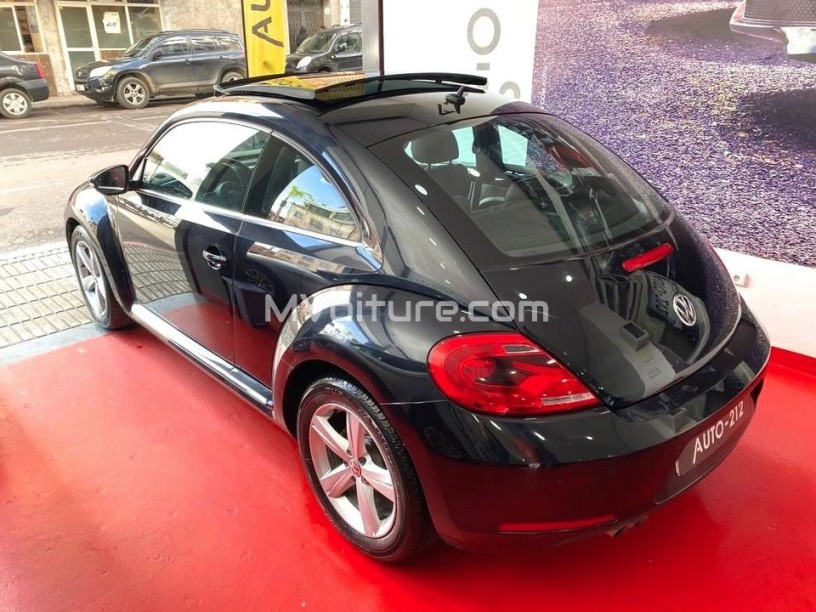 volkswagen-new-beetle-2l-tdi-2020-big-2